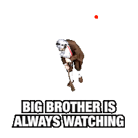 Monitoring Big Brother Sticker