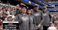 New York Jets Football GIF by NFL