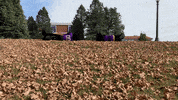 Tc Tk GIF by UNI Athletics