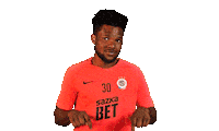 football soccer Sticker by 1. fotbalová liga