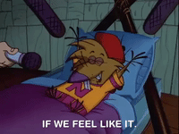 nickrewind nicksplat angry beavers GIF