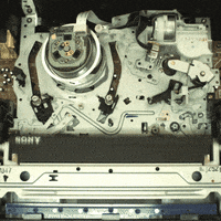 GIF by Film School Shorts