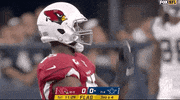 Arizona Cardinals Football GIF by NFL