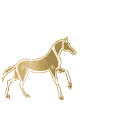 memoparisinternational irish leather memo marfa Sticker