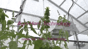 Agriculture Kcc GIF by Kankakee Community College