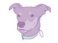Dog Sticker