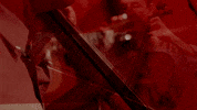 theclientele cello merge records the clientele music for the age of miracles GIF