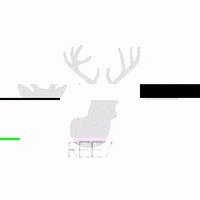 ree7 ree7amsterdam GIF