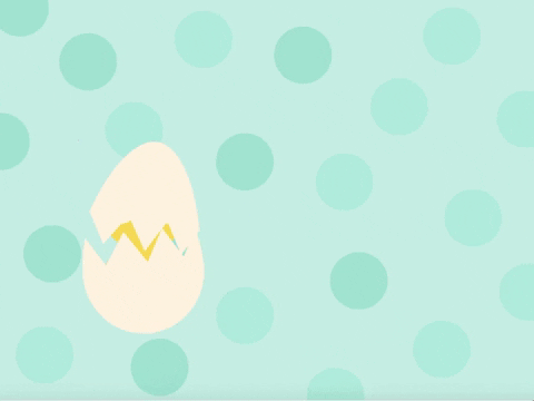 HW_giphy giphygifmaker GIF