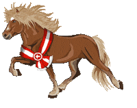 Competition Riding Sticker by Easyflix TV