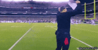 Eagles Philadelphia GIF by The Undroppables