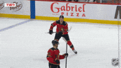 Happy Ottawa Senators GIF by NHL