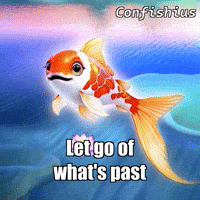 GIF by TheConfishius