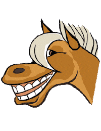 powertogetup power horse nederland paard Sticker