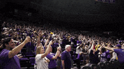 Baton Rouge Basketball GIF by LSU Tigers