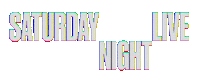 snl Sticker by Saturday Night Live