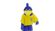 The Wave Lol Sticker by Delaware Blue Hens
