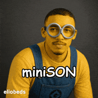 React Son GIF