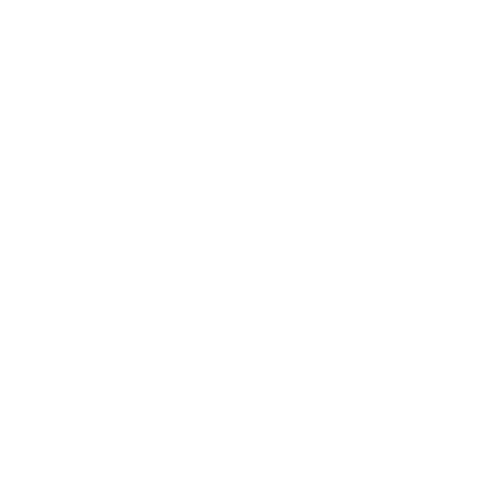 O Lago Dos Cisnes Sticker by Bolshoi Brasil
