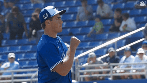 Blue Jays Mlb GIF by Toronto Blue Jays