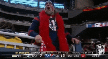 houston texans football GIF by NFL