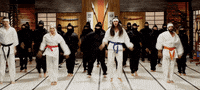 walkofftheearth happy dancing taekwondo walk off the earth GIF