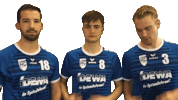 Handball Sticker by HC Winnenden