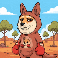 Shiba Inu Fighting GIF by Doge Pound