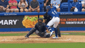 Home Run Mlb GIF by Toronto Blue Jays