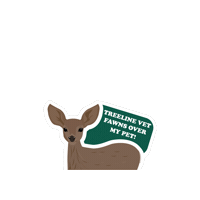 Deer Fawn Sticker by Treeline Vet