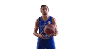 Czech Republic Game Sticker by FIBA