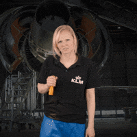 Royal Dutch Airlines Travel GIF by KLM