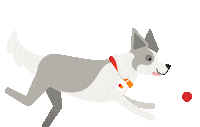 Rugby World Cup Dog Sticker by Mastercard