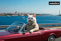 Red Car What GIF by vankedisi