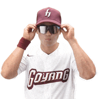 Glasses On Sticker by Kiwoom Heroes Baseball Club