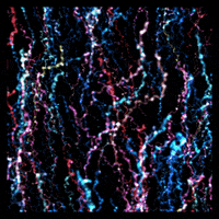 Loop Buenos Dias GIF by xponentialdesign