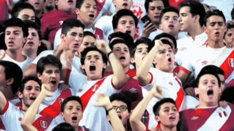World Cup Soccer GIF