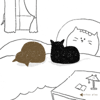 mihuachen cat mask blackcat mihua GIF
