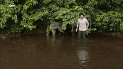 dieter coppens animalitis GIF by vrt
