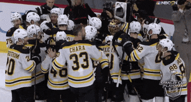 happy ice hockey GIF by NHL
