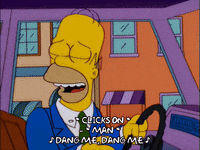 homer simpson GIF