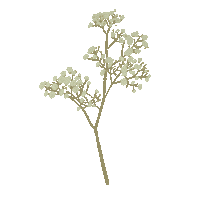 Flower Sticker