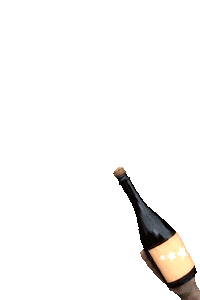 sternefresser party celebration stars champagne Sticker