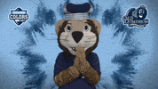 Happy College Sports GIF by College Colors Day