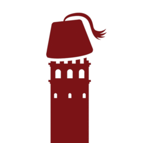Galata Tower City Sticker by NavidLinnemann