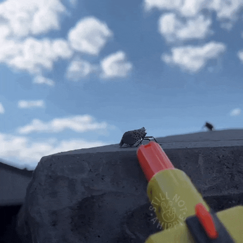 Slf Snah GIF by Still Not A Hippie