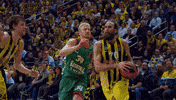 euroleague basketball wow GIF by EuroLeague
