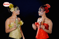 SidralMundet red green apple high five GIF