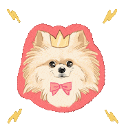 Dog Pet Sticker