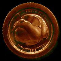 hoge coin